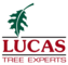 Lucas Tree Experts logo