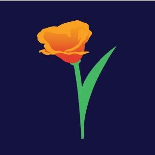 Emerald Site Services logo