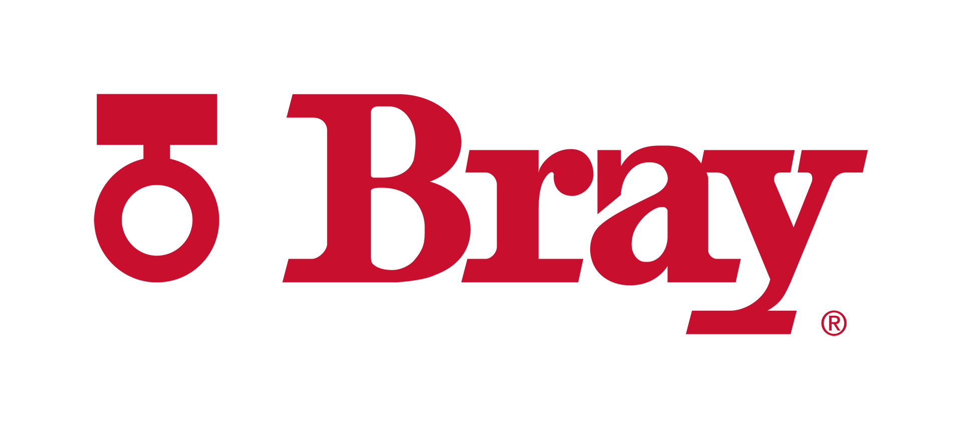 Bray International logo