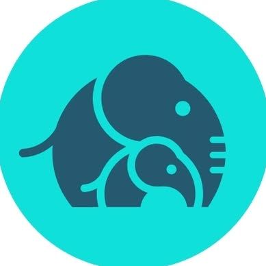 Ellie Mental Health logo