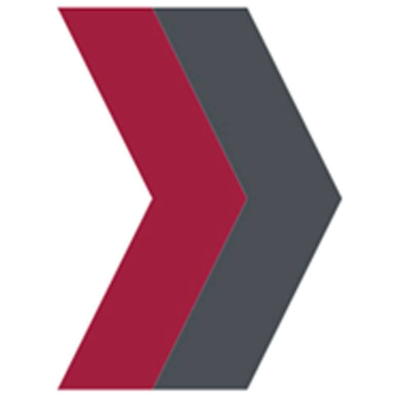 Fox Advancement logo