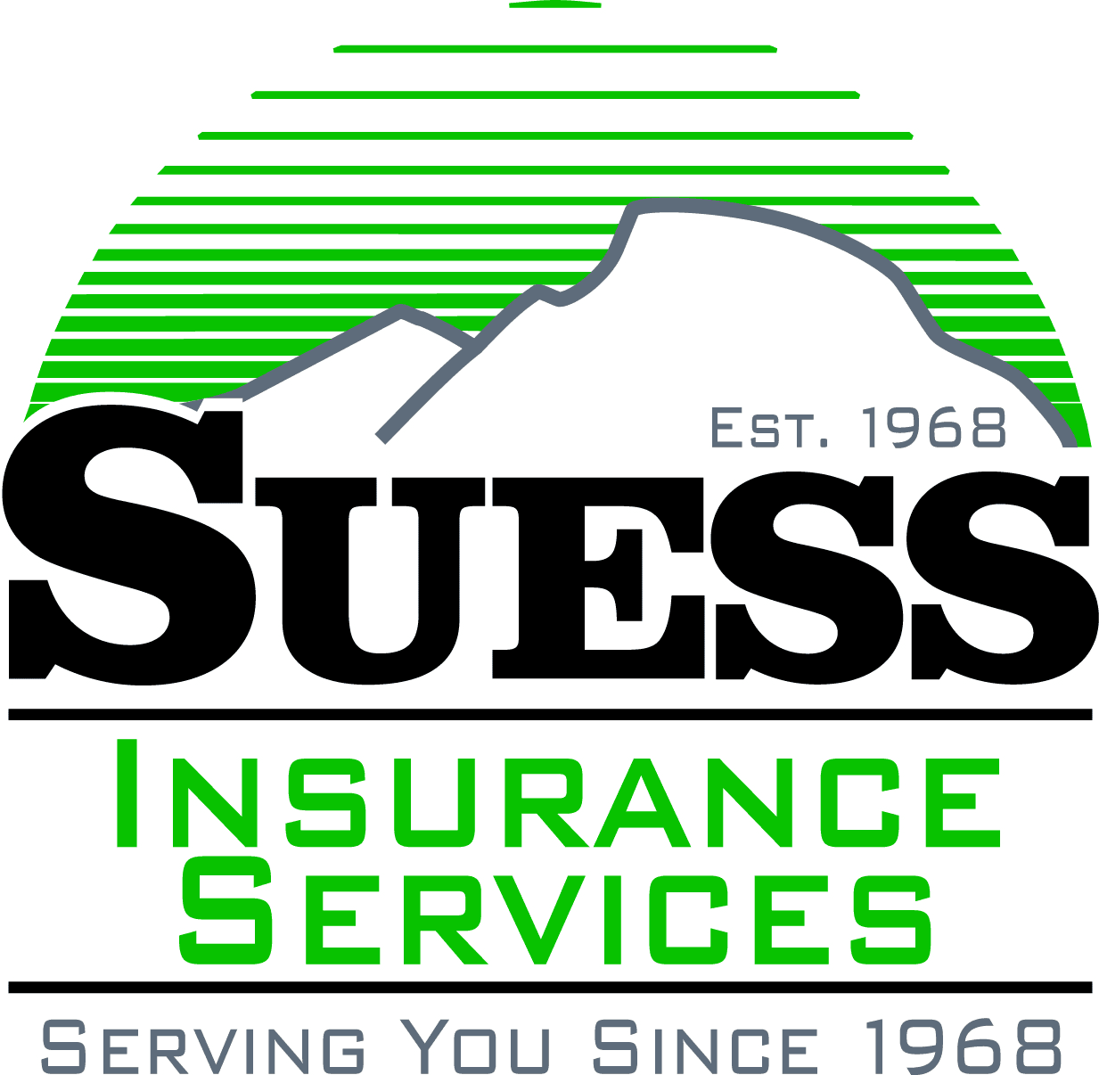 Suess Insurance Services logo
