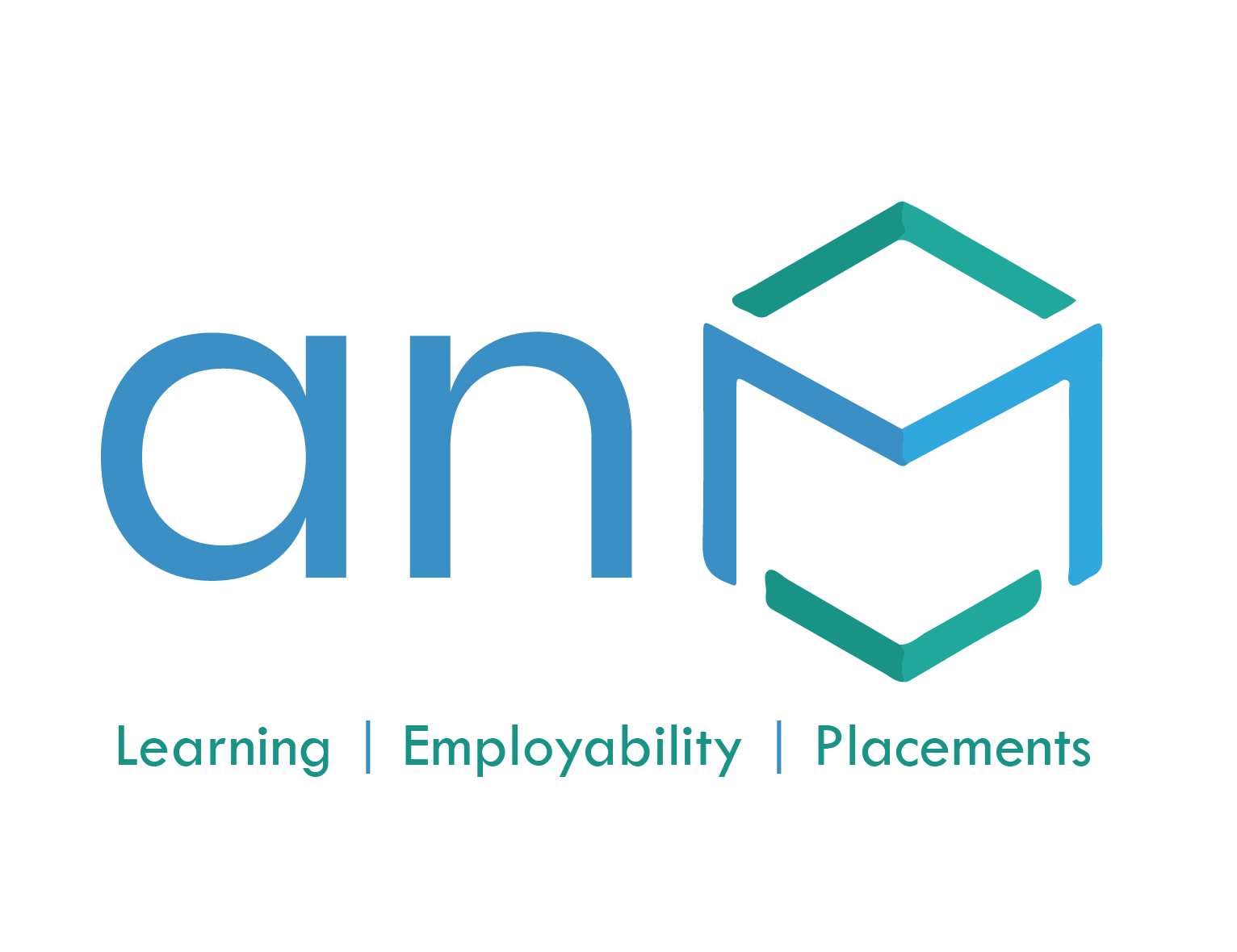 ANM Cube Assessments logo