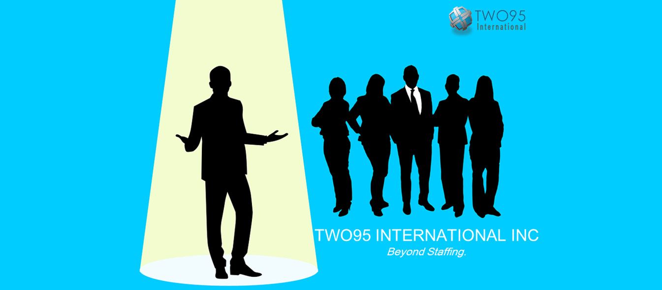 Two95 International logo