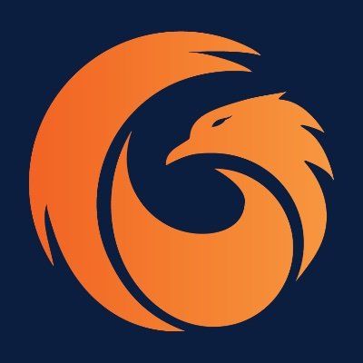 PhoenixTeam logo