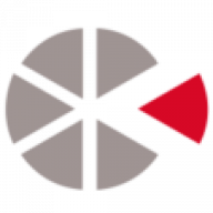 The PIE Exec Search logo