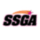 South Shore Gymnastics Academy logo