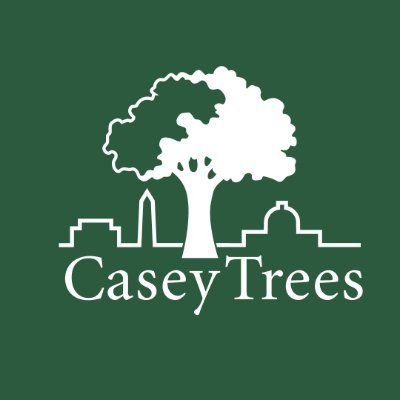 Casey Trees logo