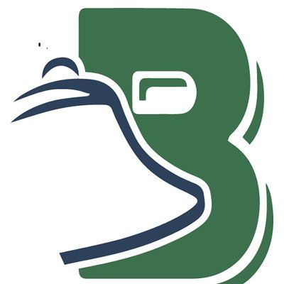 Bell Socialization Services logo