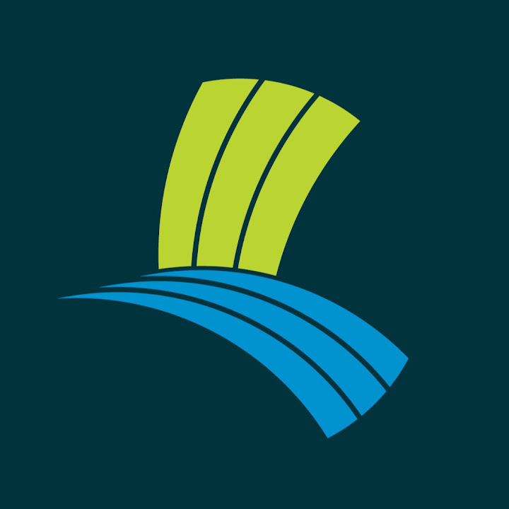 Palm Lake Group logo