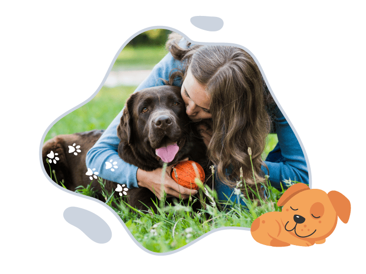 The Comforted Canine logo