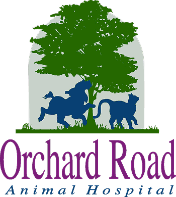 Orchard Road Animal Hospital logo