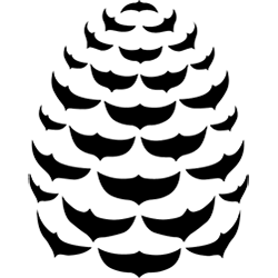 Sierra Pacific Home & Comfort logo