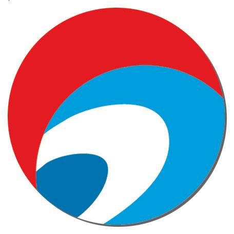 DeWitt Guam logo