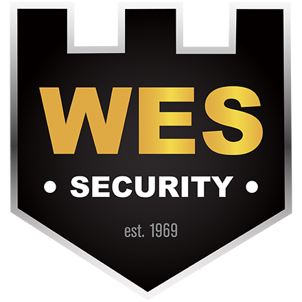 Welte Electronic Systems logo