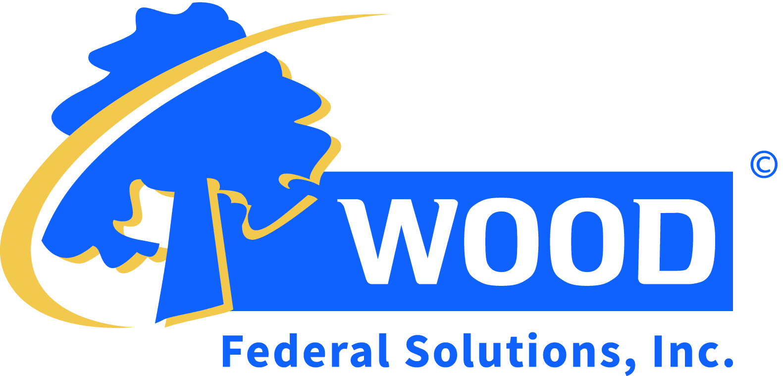 WOOD Federal Solutions logo