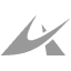 Antares Nuclear logo
