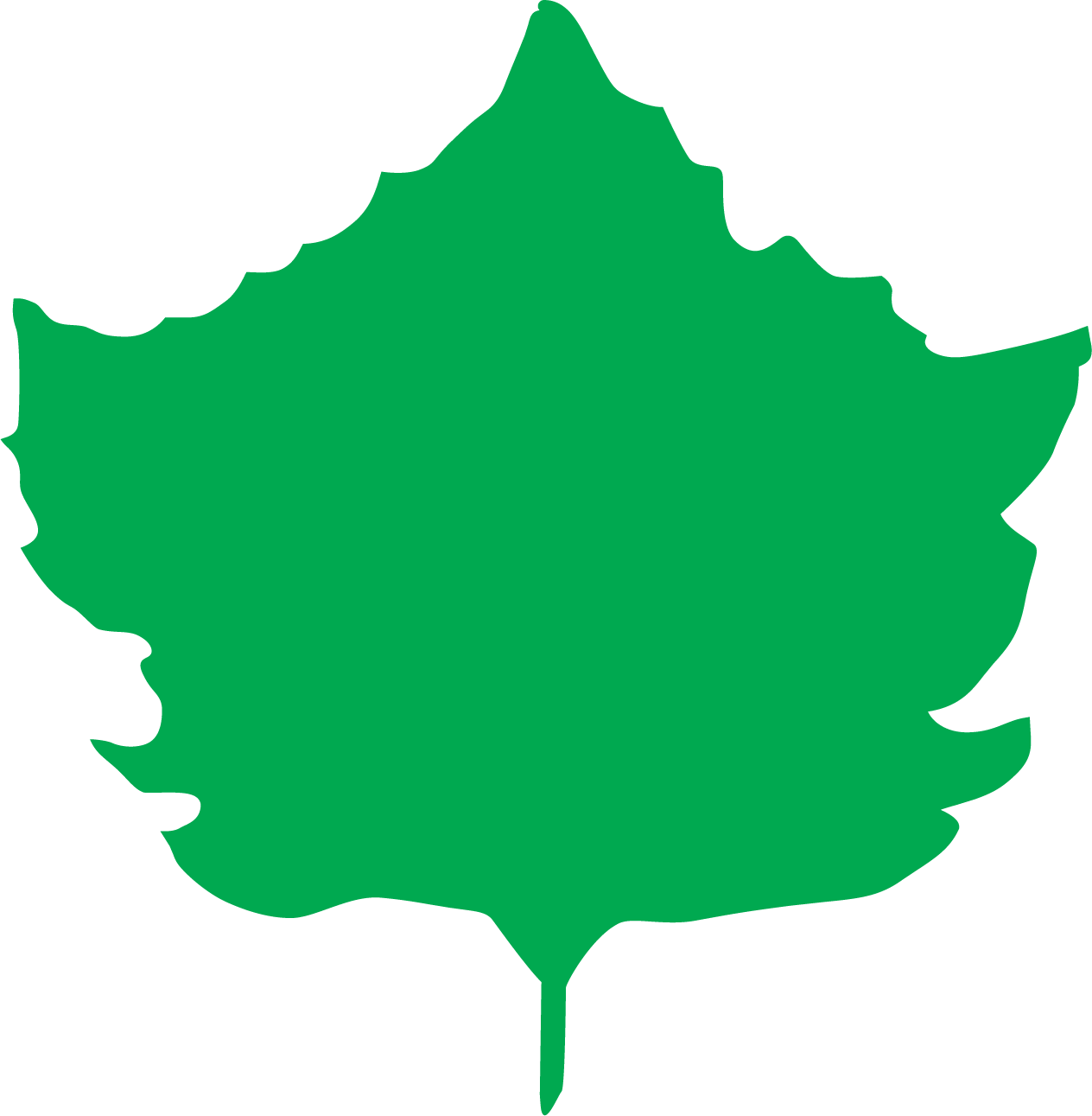 Sycamore Rehabilitation logo