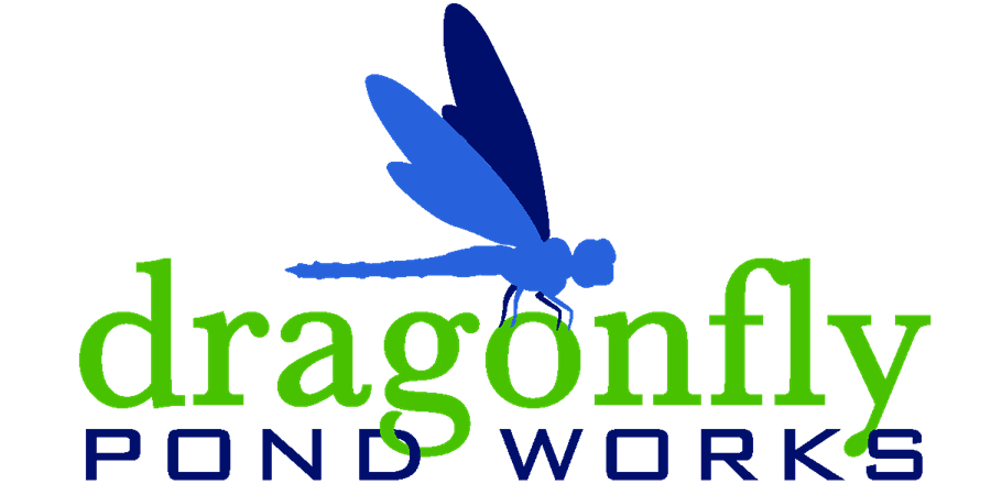 Dragonfly Pond Works logo