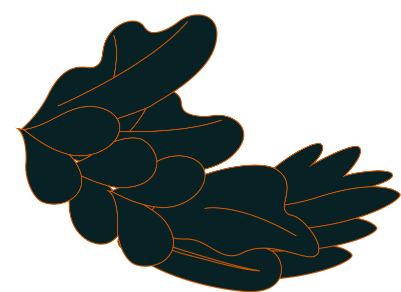 Health Express Clinics Network logo