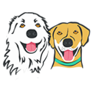 Rochester Dog Walkers logo