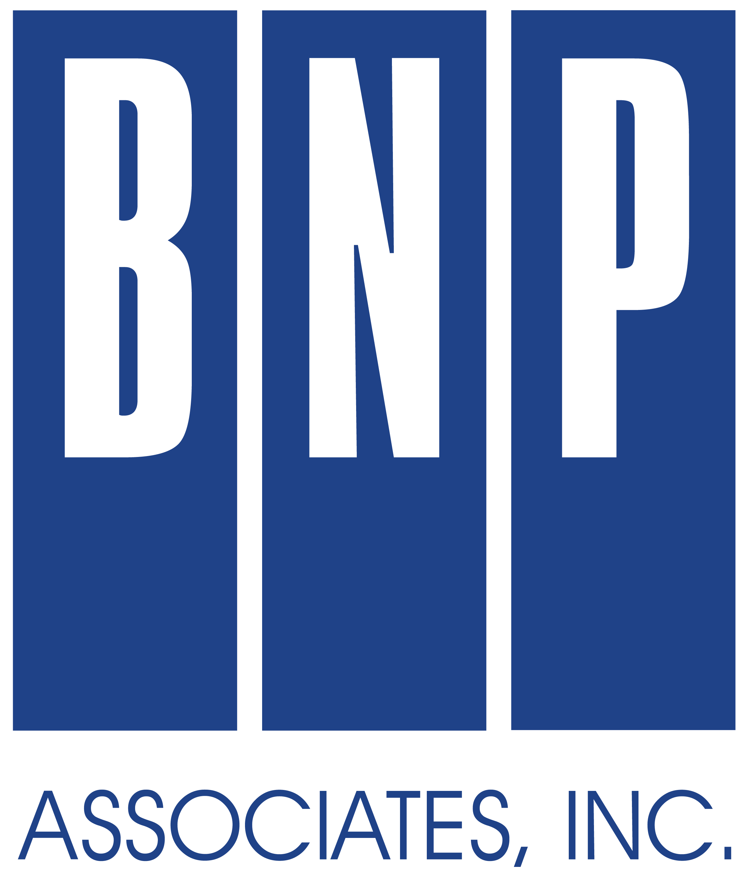 BNP Associates logo