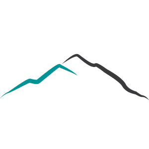 Puget Sound Home Health logo