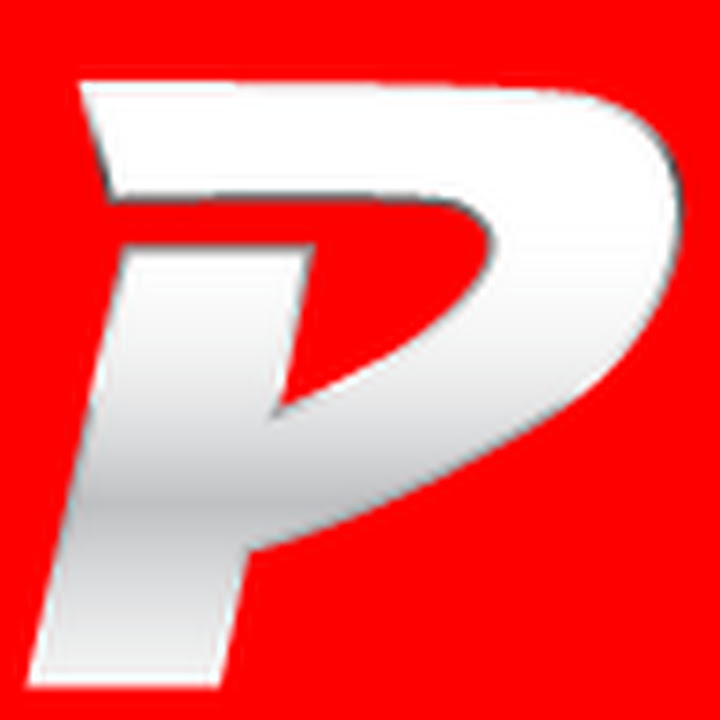Pilson Auto Group logo
