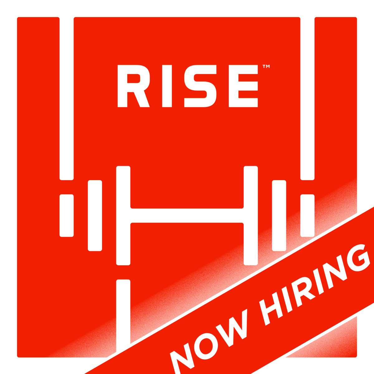 RISE Robotics logo
