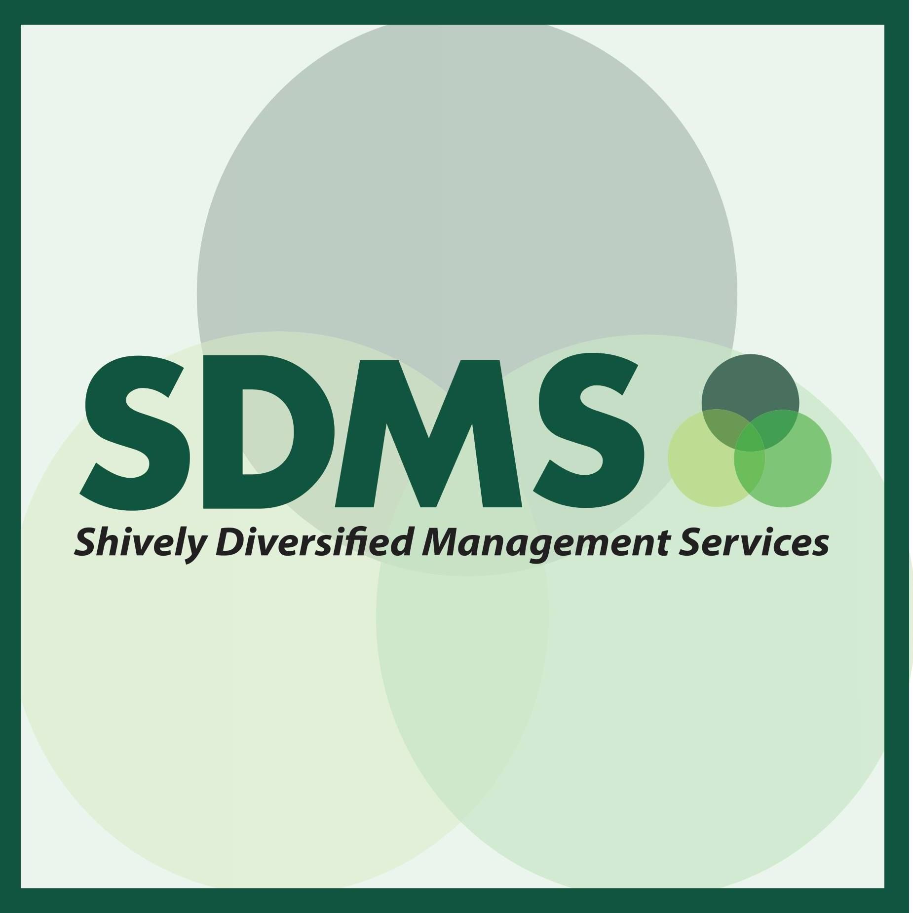 SDMS Connect logo