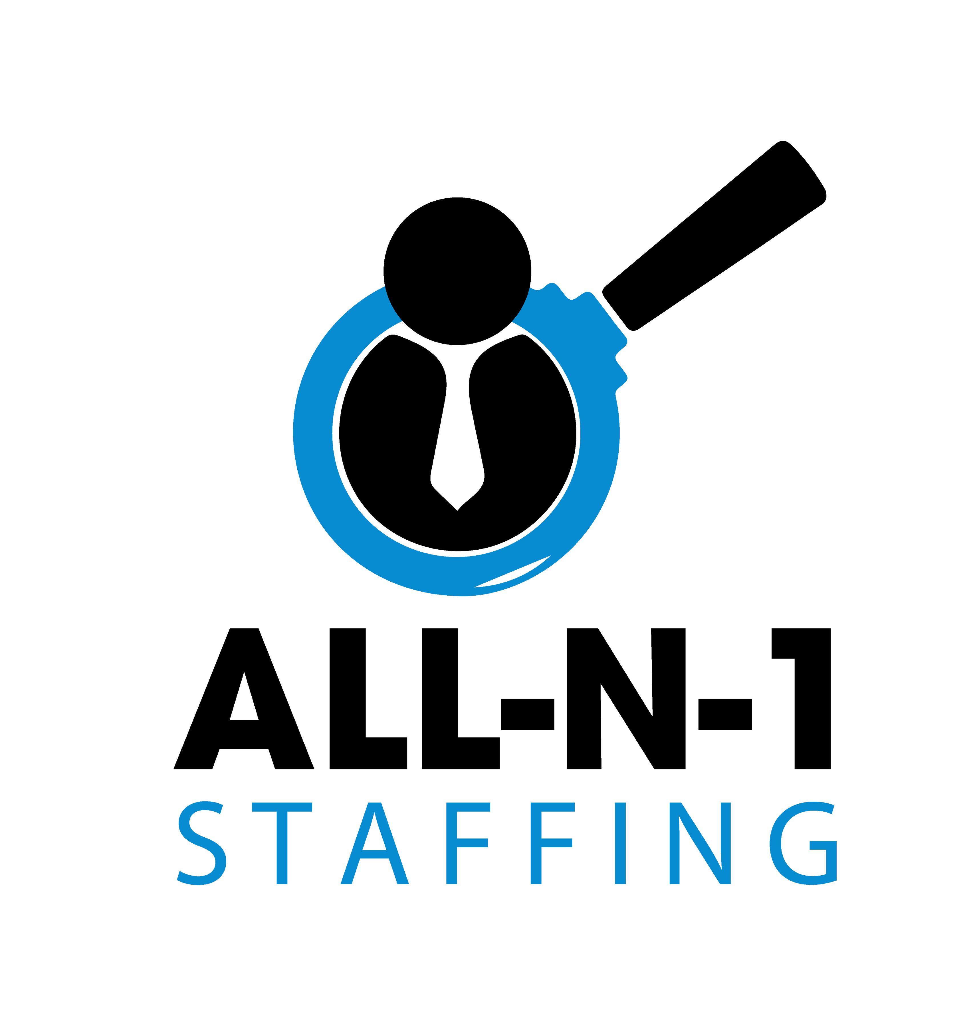 All-N-1 Staffing logo