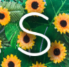 Seena logo
