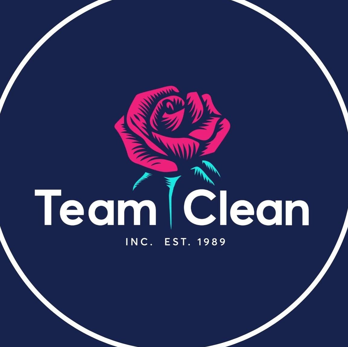 Team Clean logo