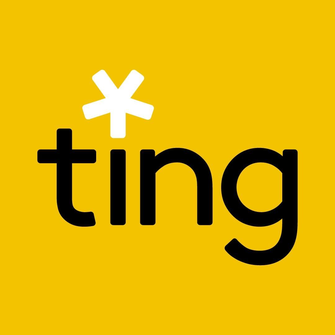 Ting Labs logo