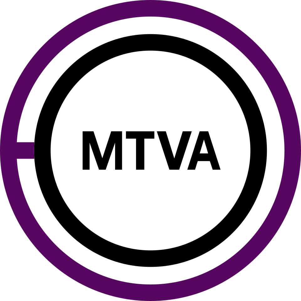 Management Support logo