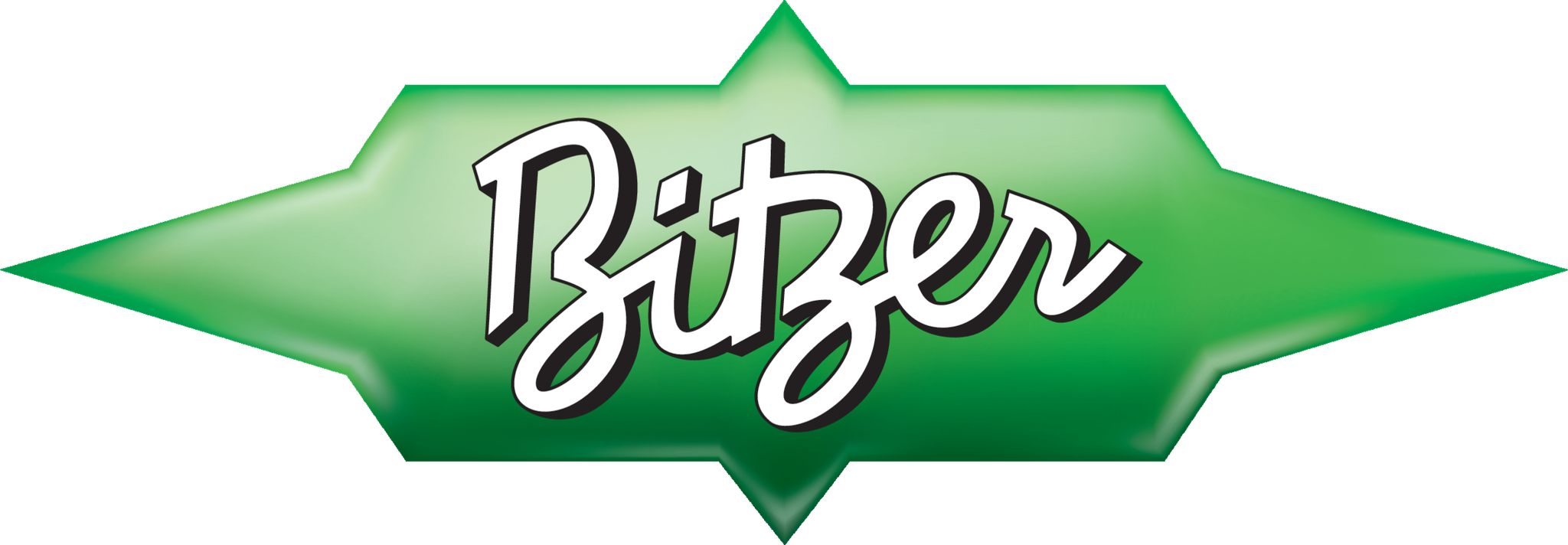 Bitzer US logo