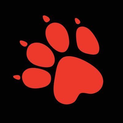 Naughty Dog logo