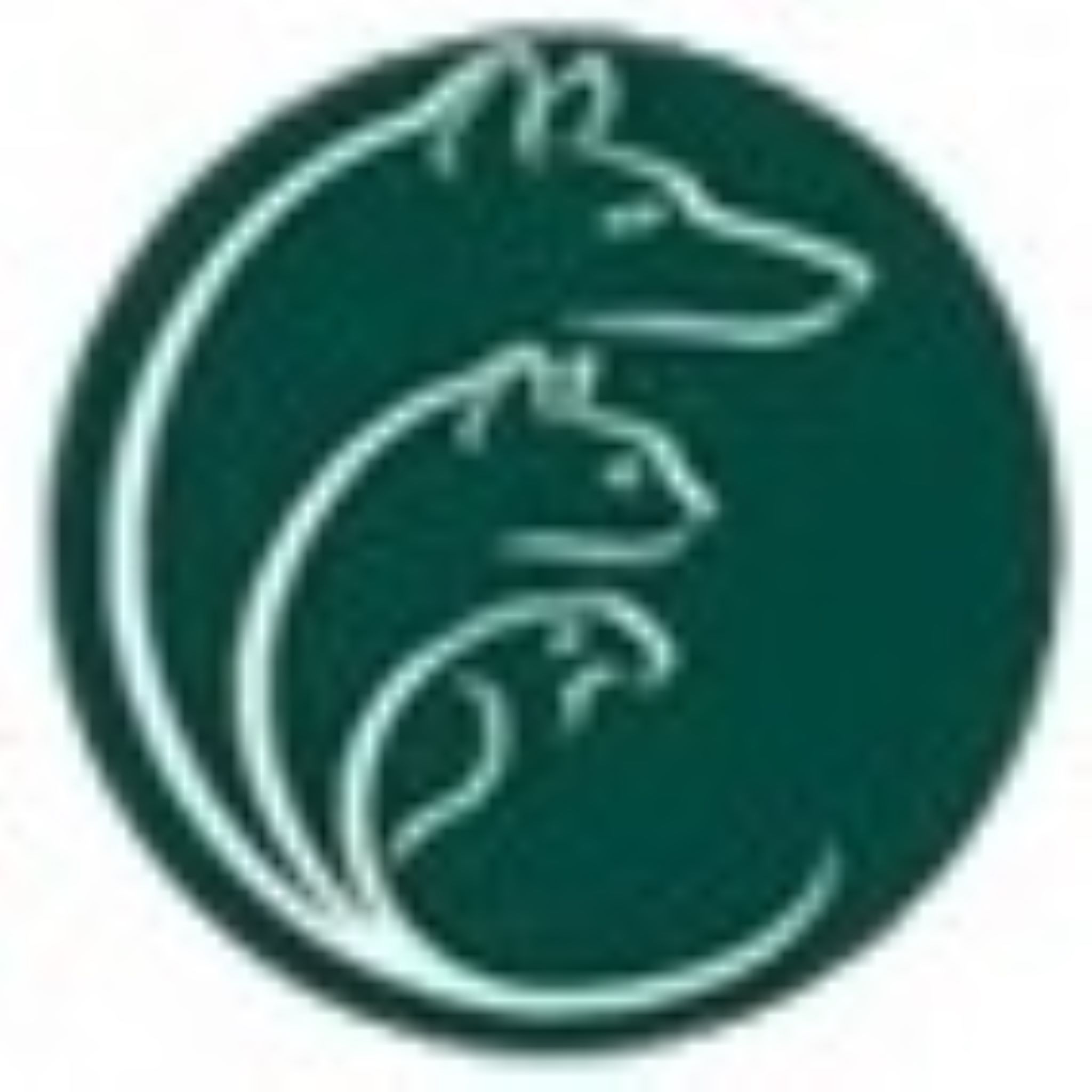 Countryside Veterinary Hospital logo