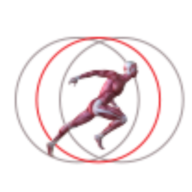 Total Fit Physical Therapy logo