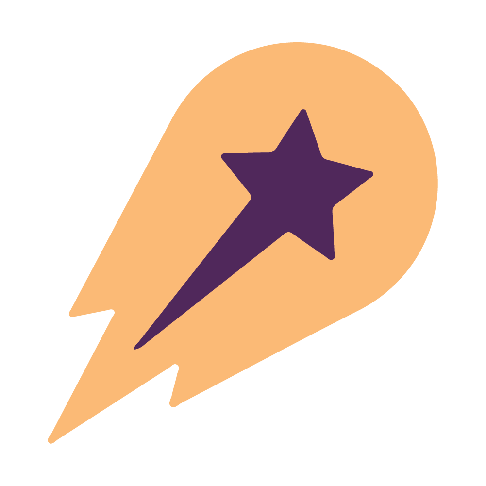 BMS International logo