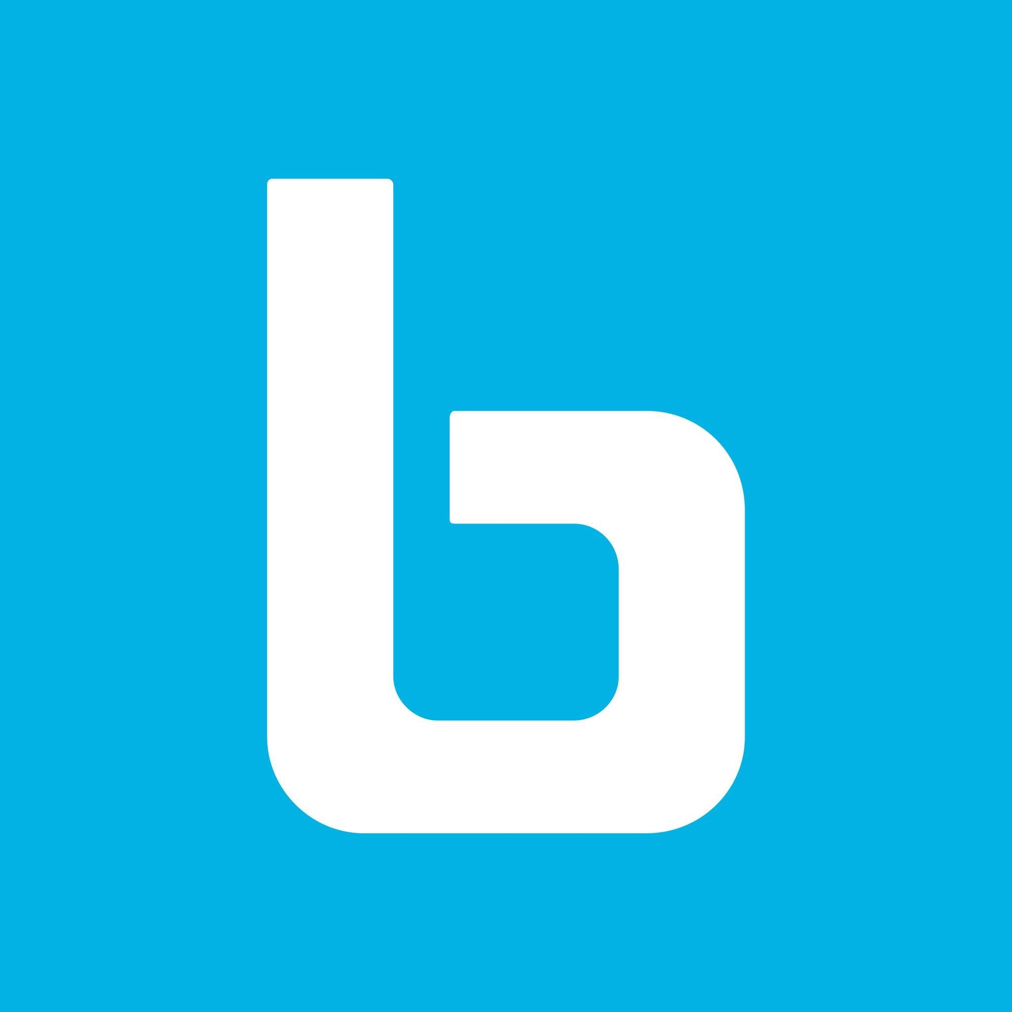 Burn Boot Camp logo
