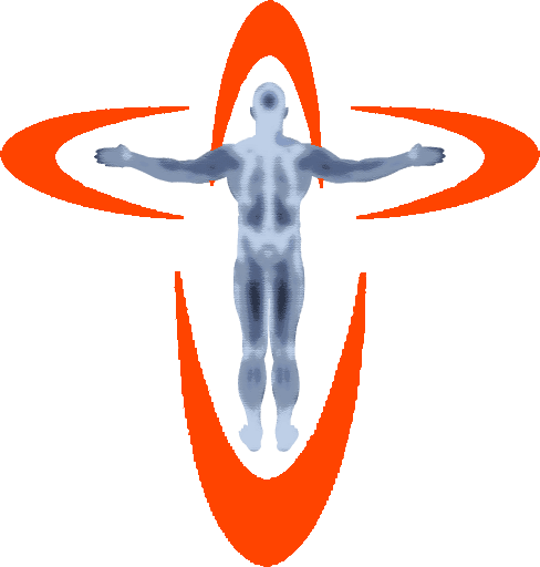 Active Physical Therapy logo