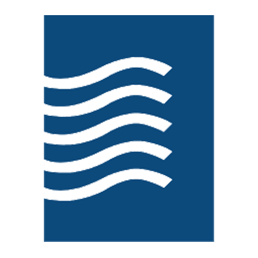 Five Rivers IT logo