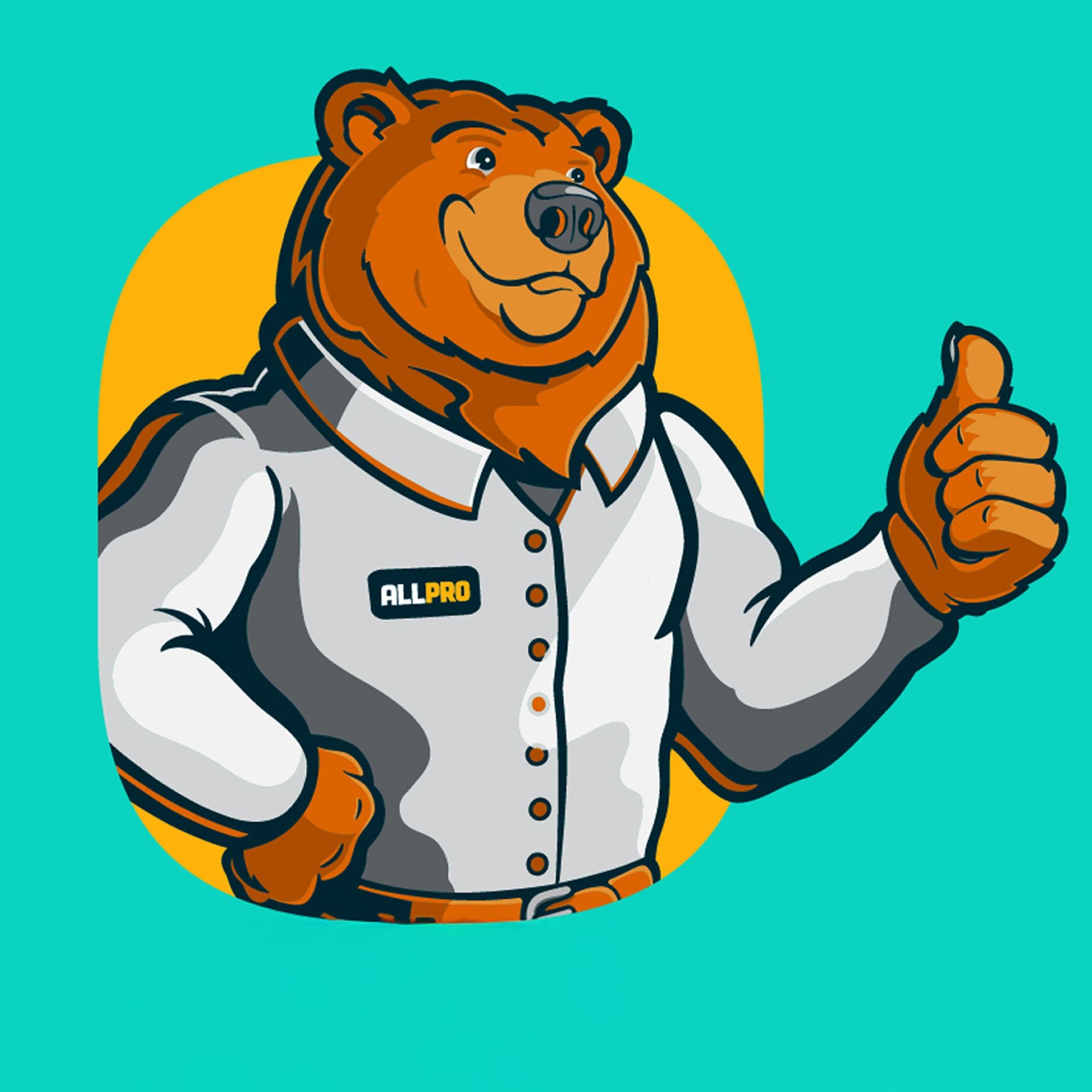 All Pro Plumbers logo