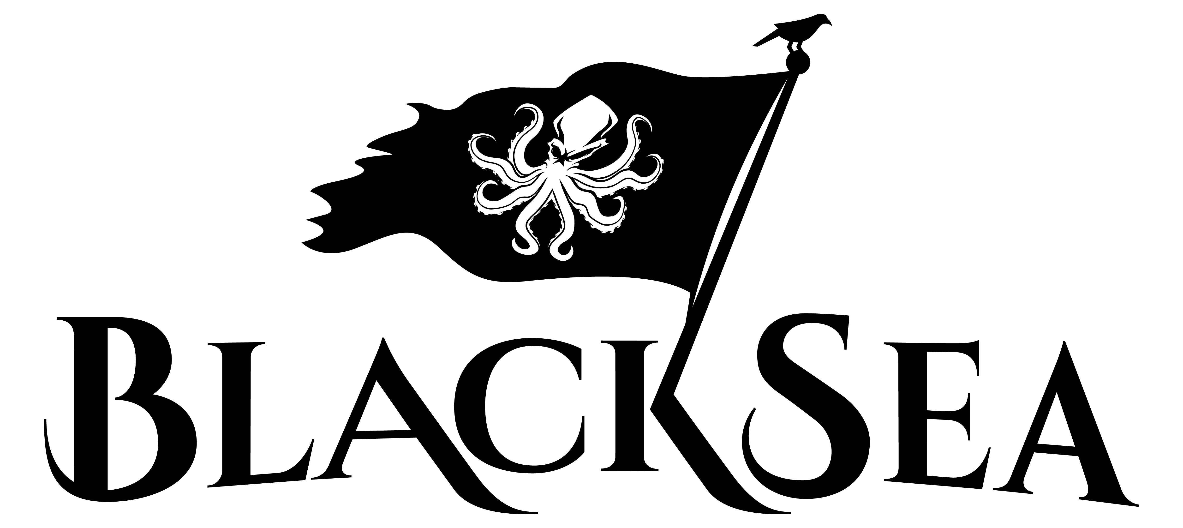 BlackSea Technologies logo
