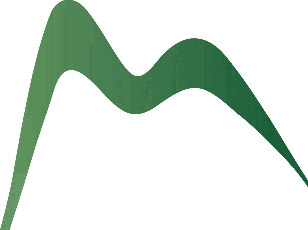 Summit Management logo