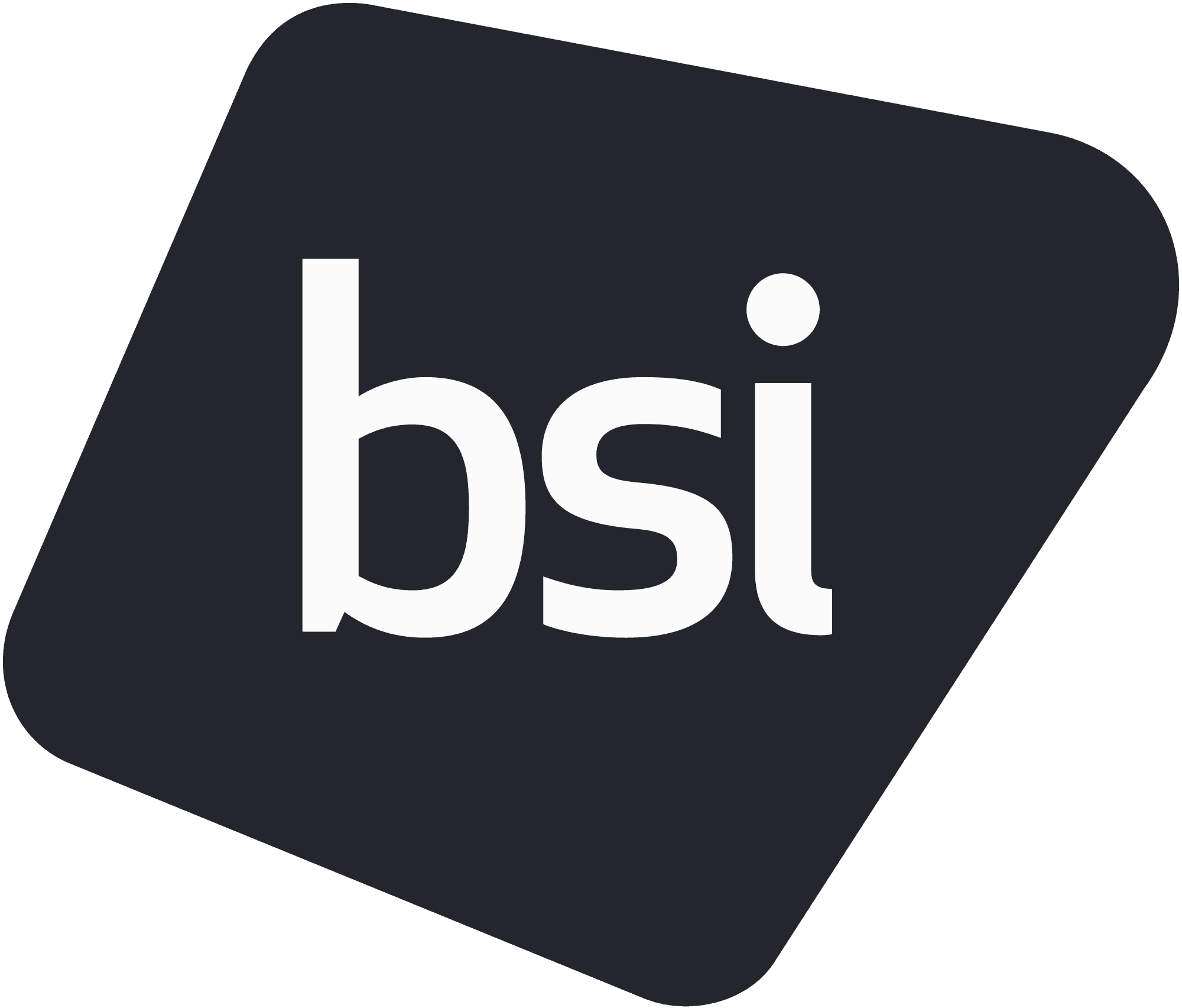 BSI Group logo