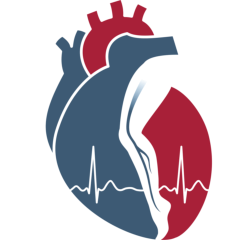 Apex Heart and Vascular Care logo