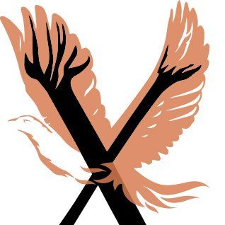 Phoenix Home Care logo