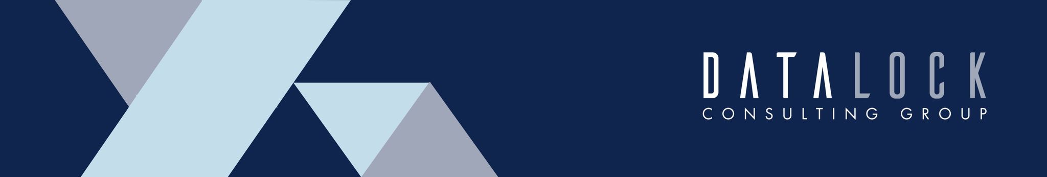 DataLock Consulting Group logo